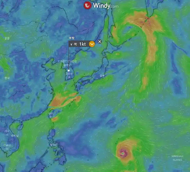 windy로 기상상황 확인