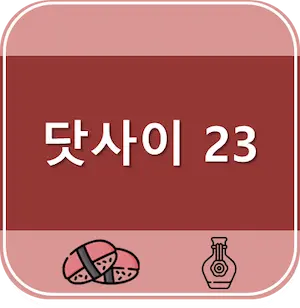 닷사이23