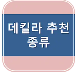 데킬라 추천, 종류