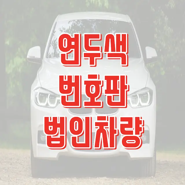 연두색 번호판 법인차량