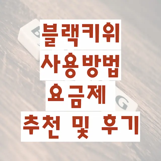 블랙키위 사용방법 요금제 추천 및 후기