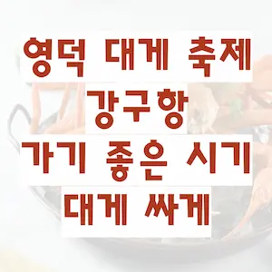 영덕 대게 축제, 강구항 가기 좋은 시기 대게 싸게