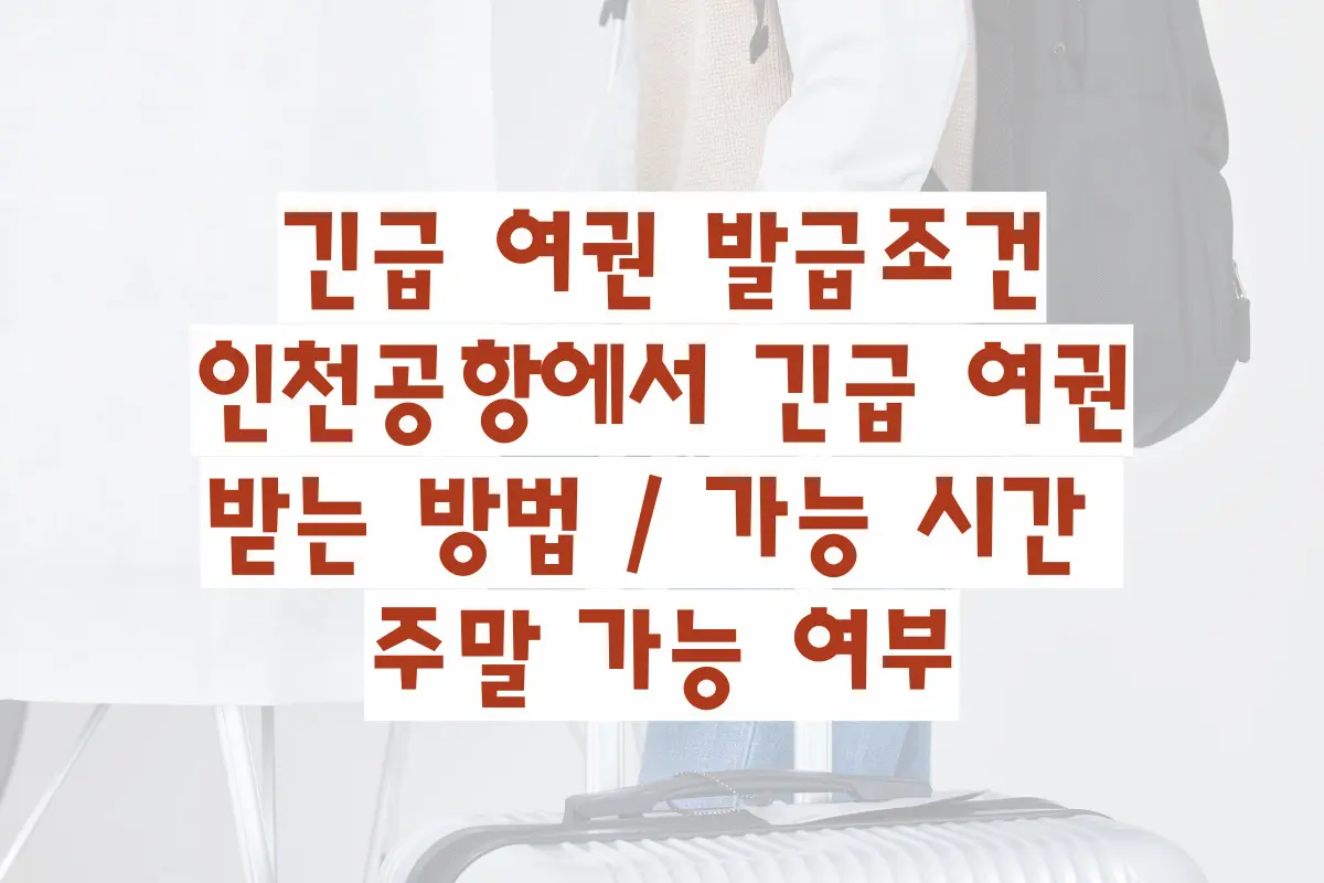 긴급 여권 발급조건 인천공항에서 긴급 여권 받는 방법 가능시간 주말가능여부