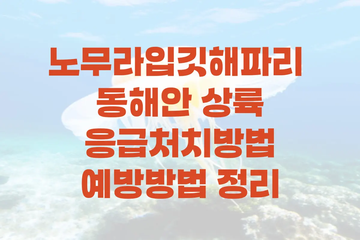 노무라입깃해파리 동해안 상륙, 독성과 위험성, 응급처치방법, 예방방법 정리