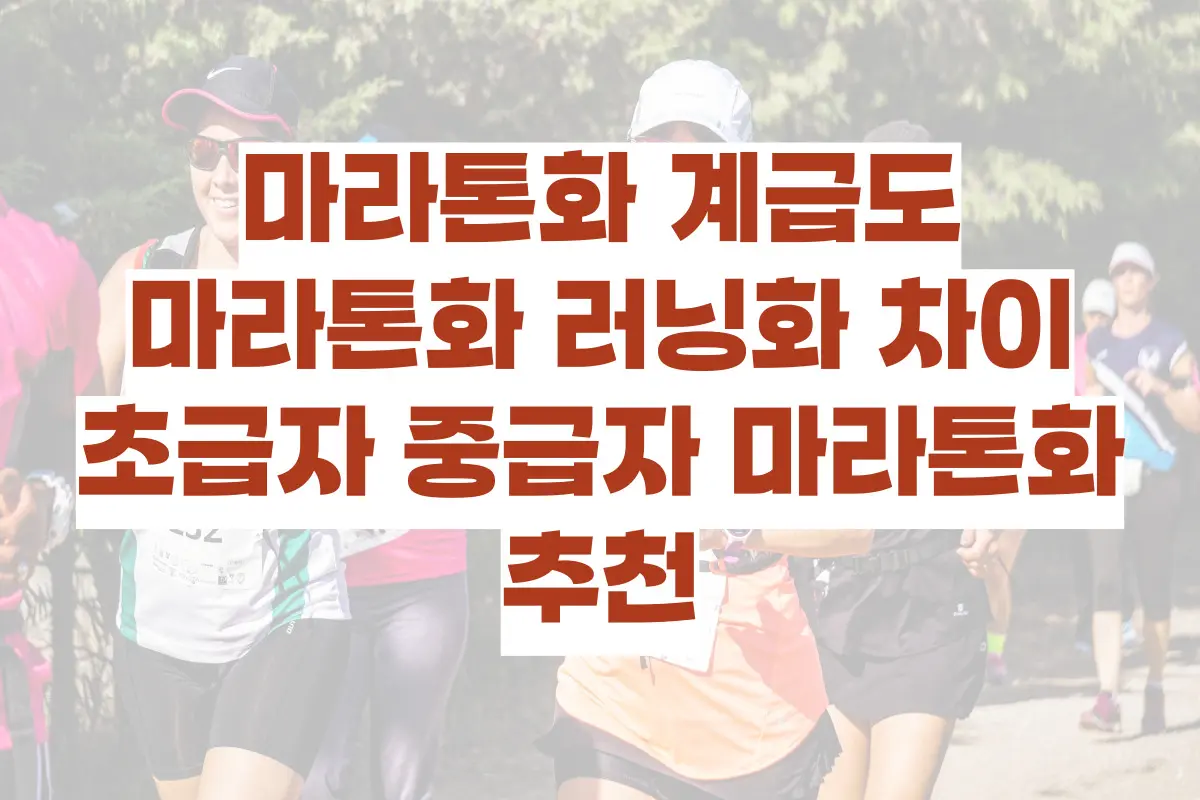 마라톤화 계급도, 마라톤화 러닝화 차이, 초급자 중급자 마라톤화 추천