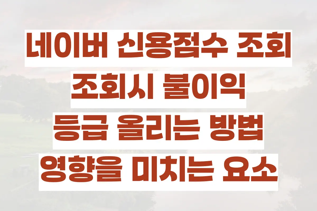 네이버 신용점수 조회, 불이익, 등급 올리는 방법, 영향을 미치는 요소