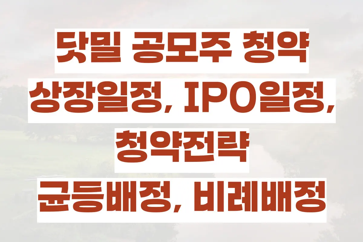 닷밀 공모주 청약, 상장일정, IPO일정, 청약전략 (균등배정, 비례배정)