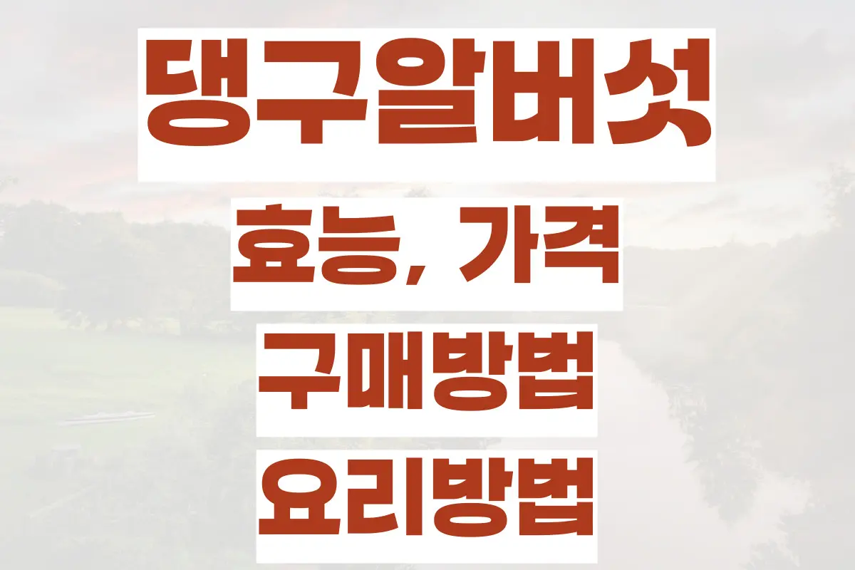 댕구알버섯 효능, 가격, 희귀성 높은 댕구알버섯 구매방법과 요리방법 정리