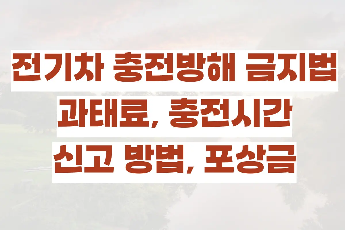 전기차 충전방해 금지법 과태료, 충전시간, 신고 방법, 포상금, 사례 정리