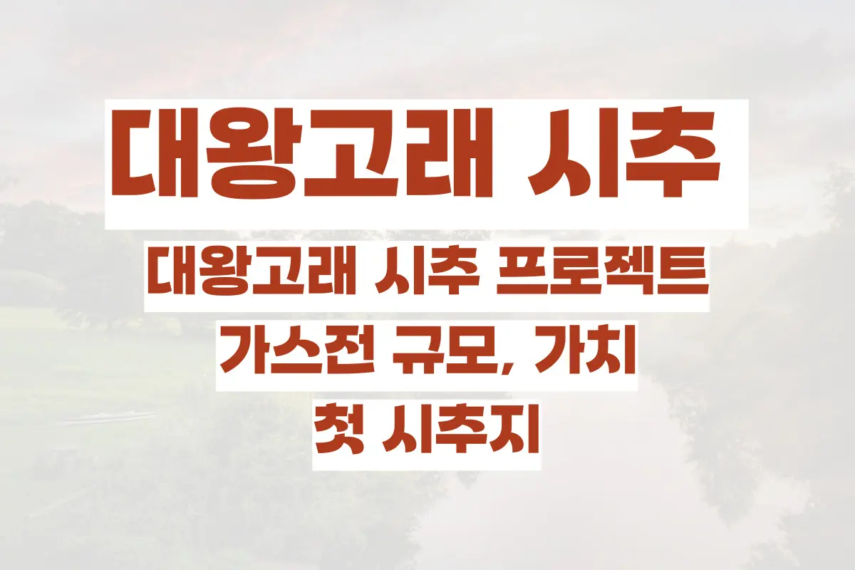 대왕고래 시추 프로젝트, 가스전 규모, 가치 , 첫 시추지 정리