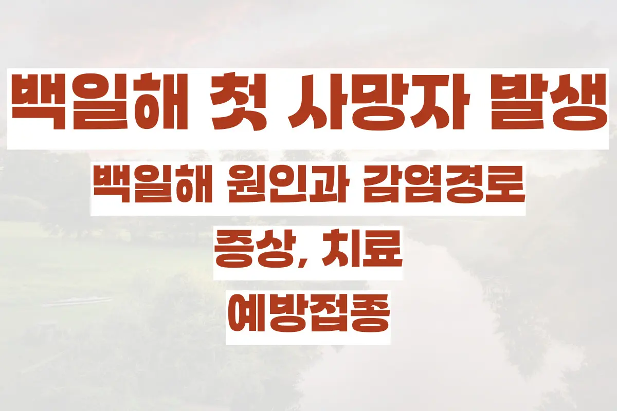 백일해 첫 사망자 발생, 백일해 원인과 감염경로, 증상, 치료, 예방접종