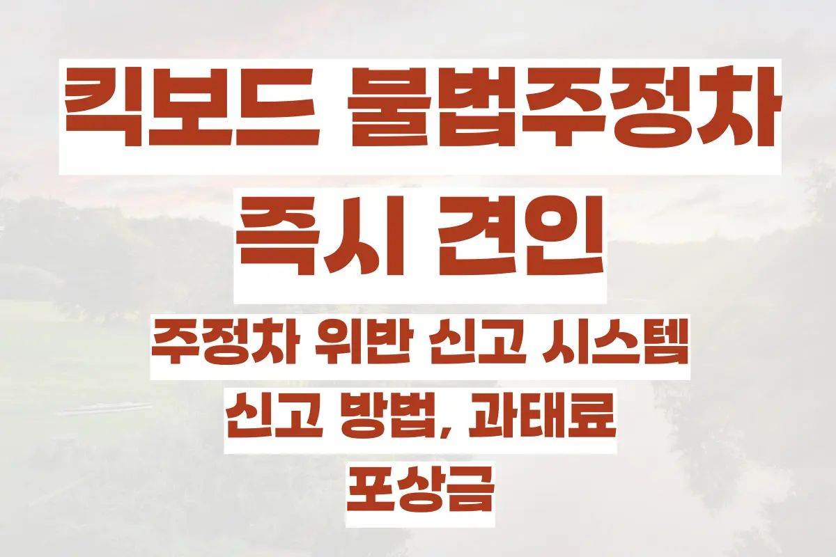 킥보드 불법주정차 즉시 견인, 주정차 위반 신고 시스템, 신고 방법, 과태료, 포상금