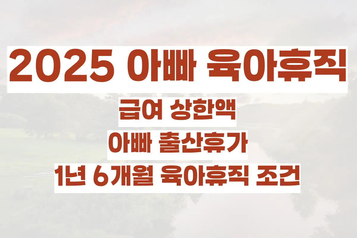 2025 아빠 육아휴직, 급여 상한액, 아빠 출산휴가, 1년 6개월 육아휴직 조건