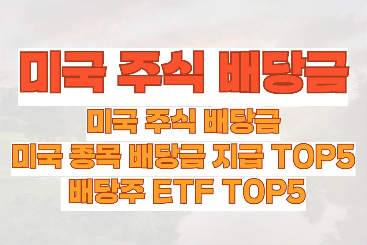 미국 주식 배당금, 미국 종목 배당금 지급 TOP5, 배당주 ETF TOP5