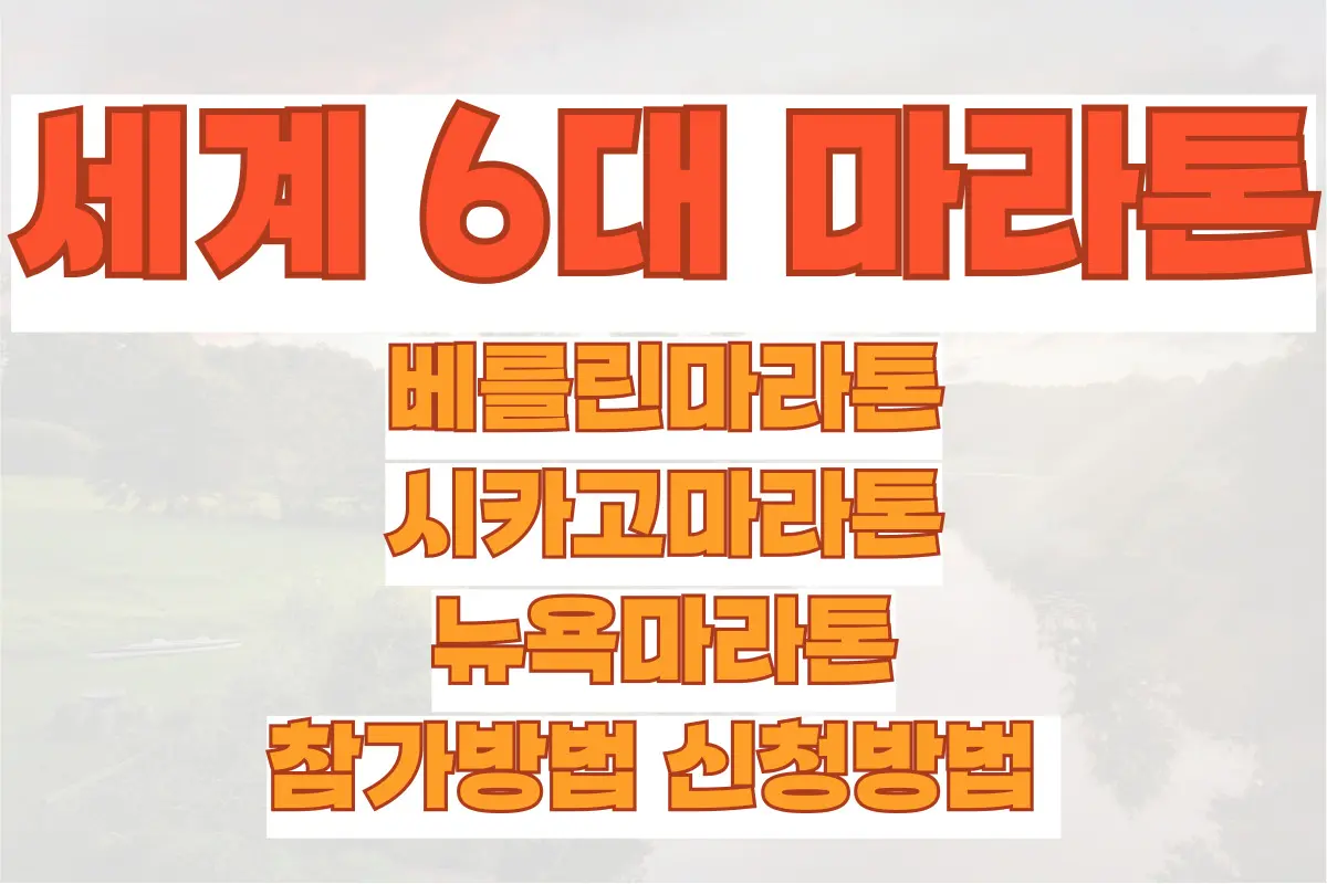 세계 6대 마라톤, 베를린마라톤, 시카고마라톤, 뉴욕마라톤 참가방법 신청방법