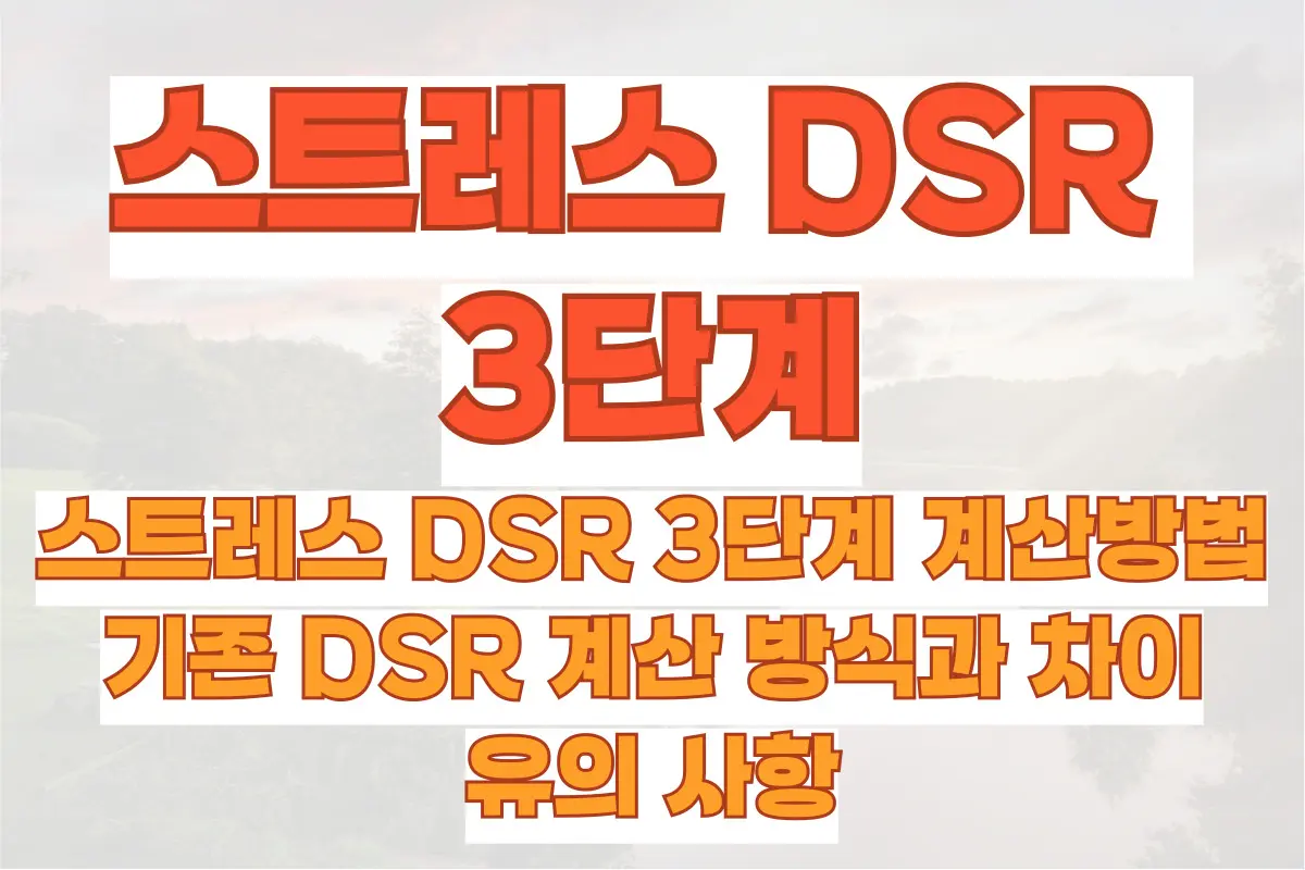 스트레스 DSR 3단계 계산방법, 기존 DSR 계산 방식과 차이, 유의 사항