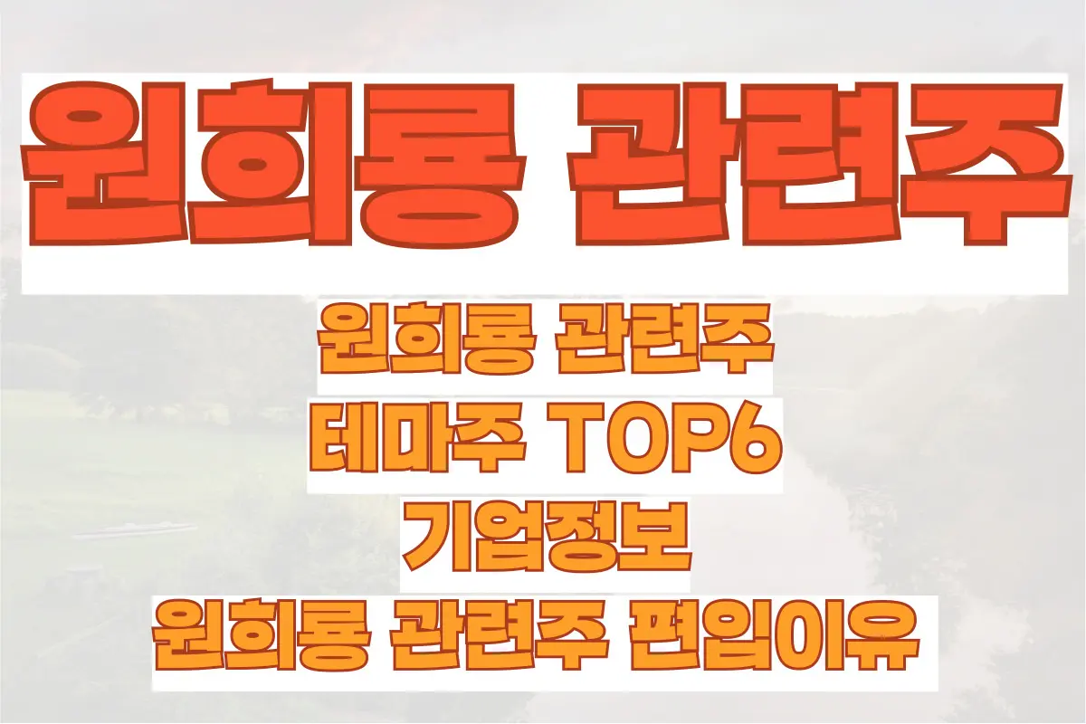 원희룡 관련주, 테마주 TOP6, 기업정보, 원희룡 관련주 편입이유