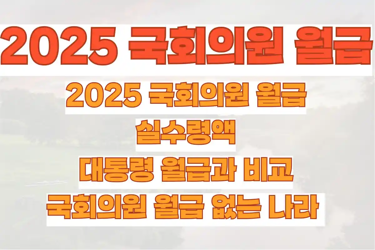 2025 국회의원 월급, 실수령액, 대통령 월급과 비교, 국회의원 월급 없는 나라 