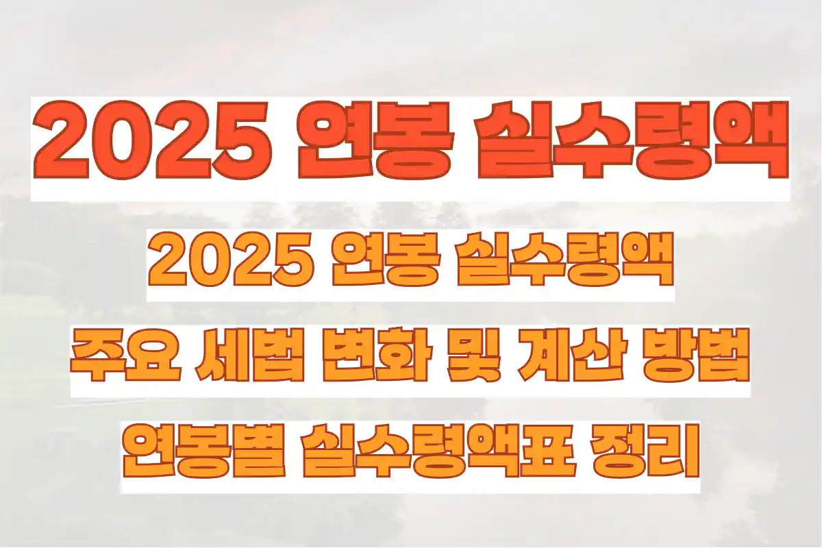 2025 연봉 실수령액, 주요 세법 변화 및 계산 방법, 연봉별 실수령액표 정리