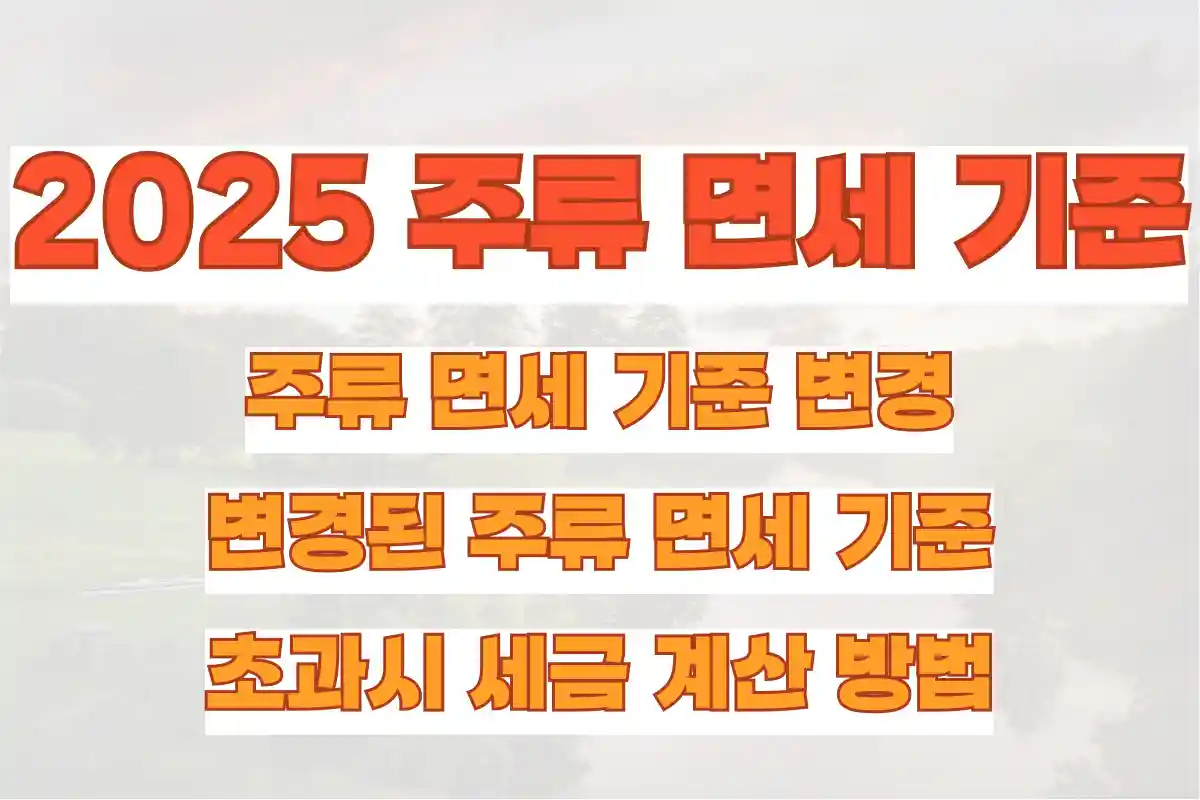 2025 주류 면세 기준 변경, 변경된 주류 면세 기준, 초과시 세금 계산 방법