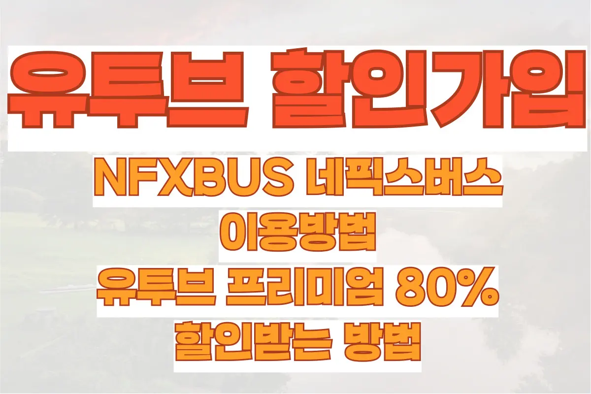 NFXBUS 네픽스버스, 이용방법, 유투브 프리미엄 80% 할인받는 방법