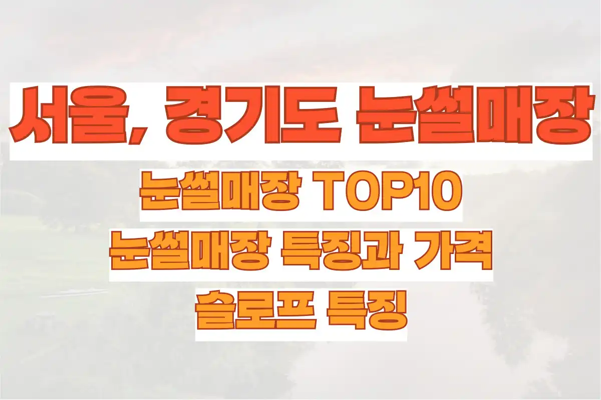 서울, 경기도 눈썰매장 TOP10, 눈썰매장 특징과 가격, 슬로프 특징