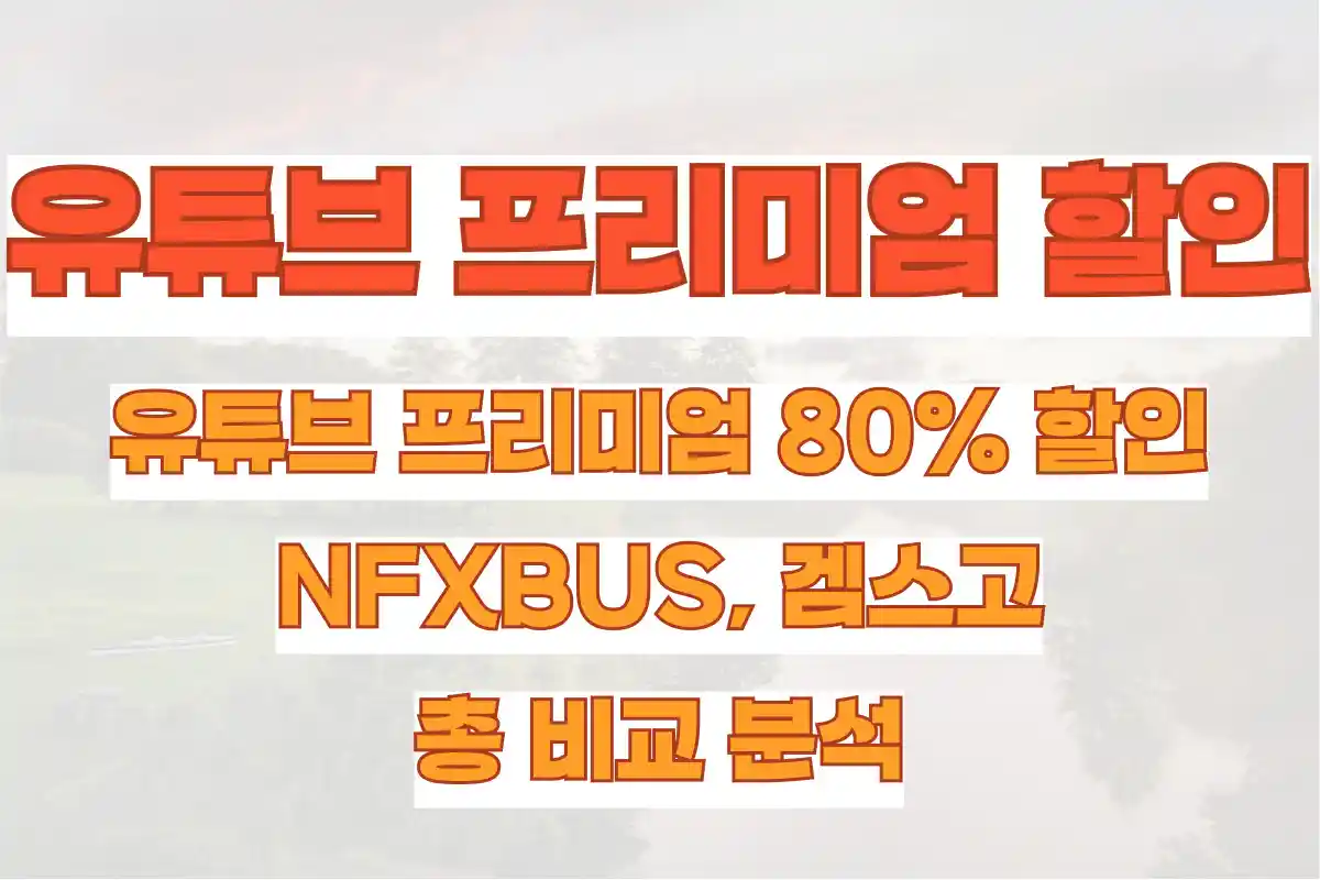 유튜브 프리미엄 80% 할인받는 방법, NFXBUS, 겜스고 총 비교 분석