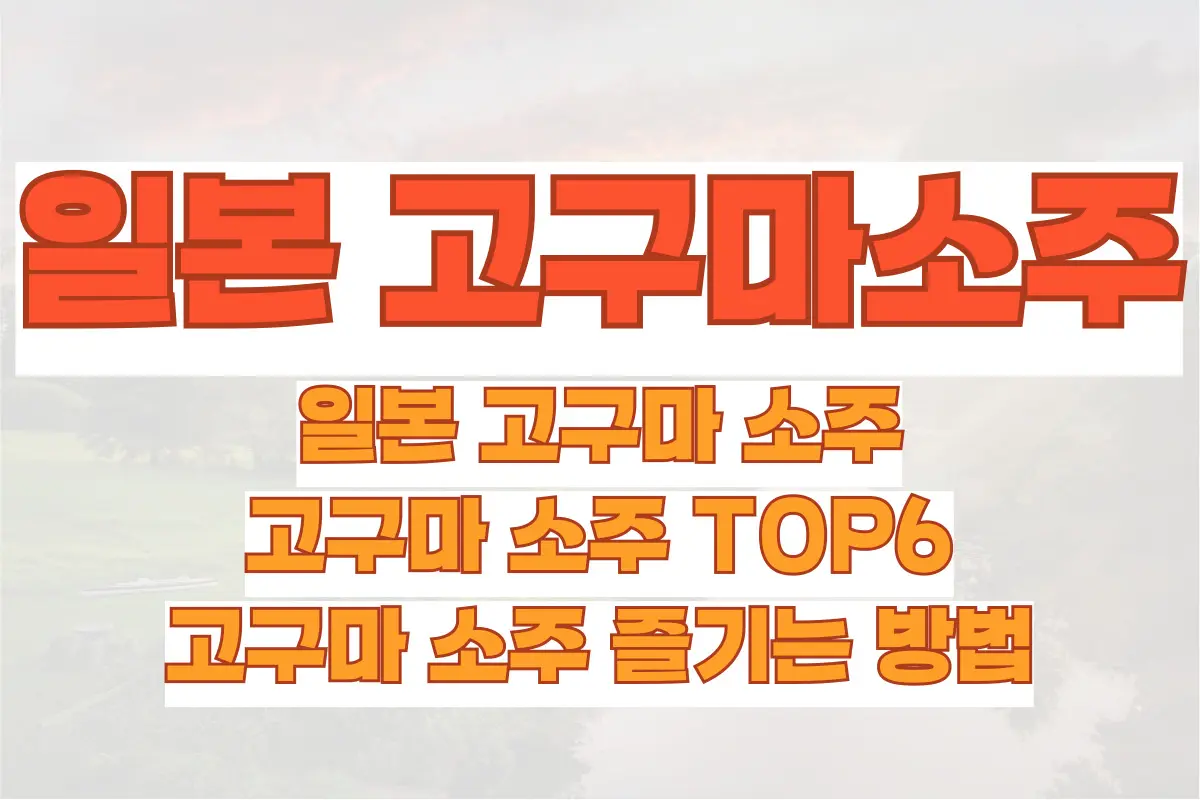 일본 고구마 소주, 고구마 소주 TOP6, 고구마 소주 즐기는 방법