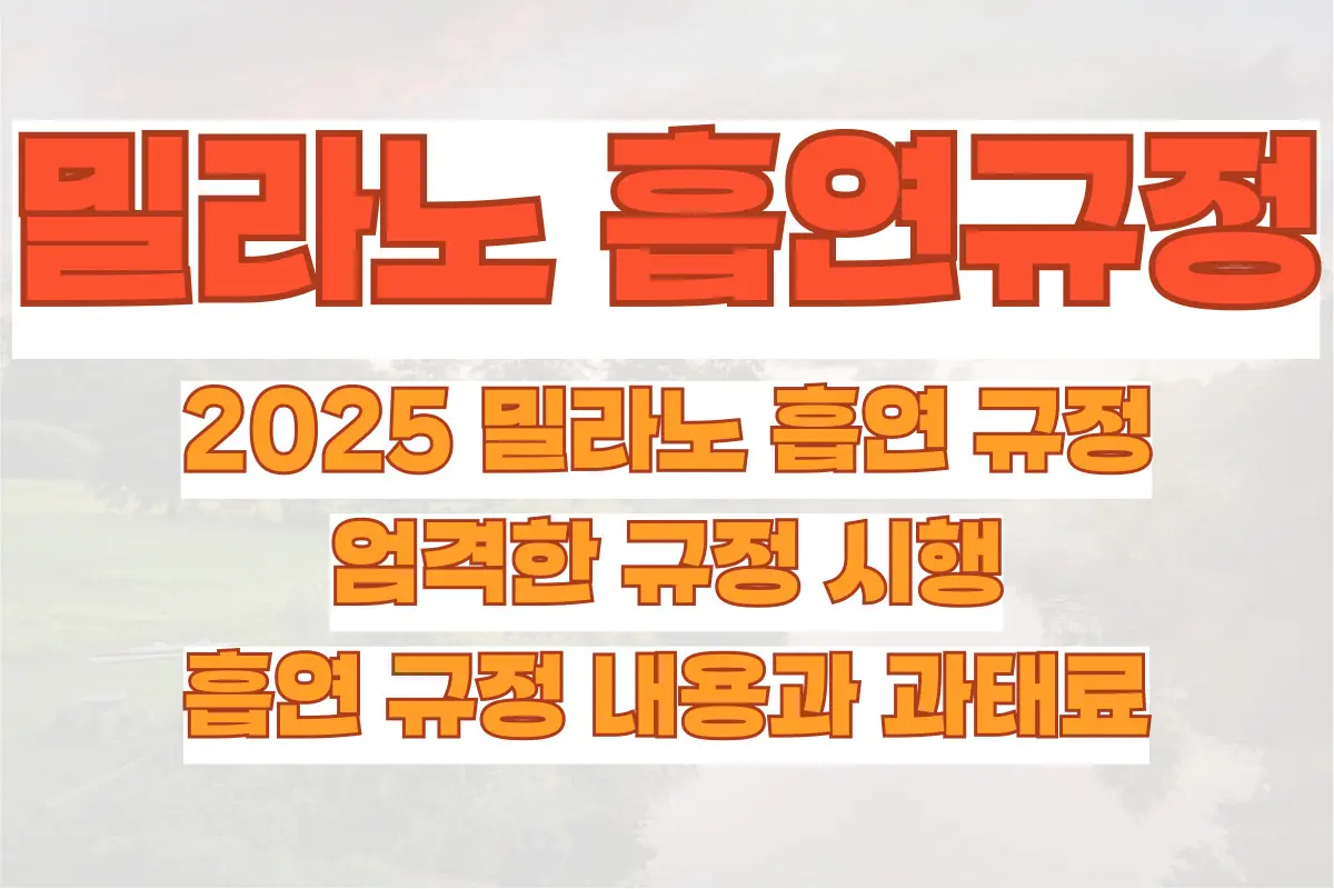 2025 밀라노 흡연 규정, 엄격한 규정 시행, 흡연 규정 내용과 과태료