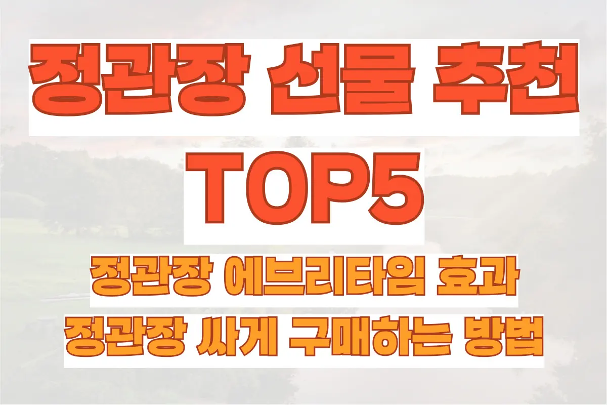 정관장 선물 추천 TOP 5, 정관장 에브리타임 효과와 정관장 싸게 구매하는 방법