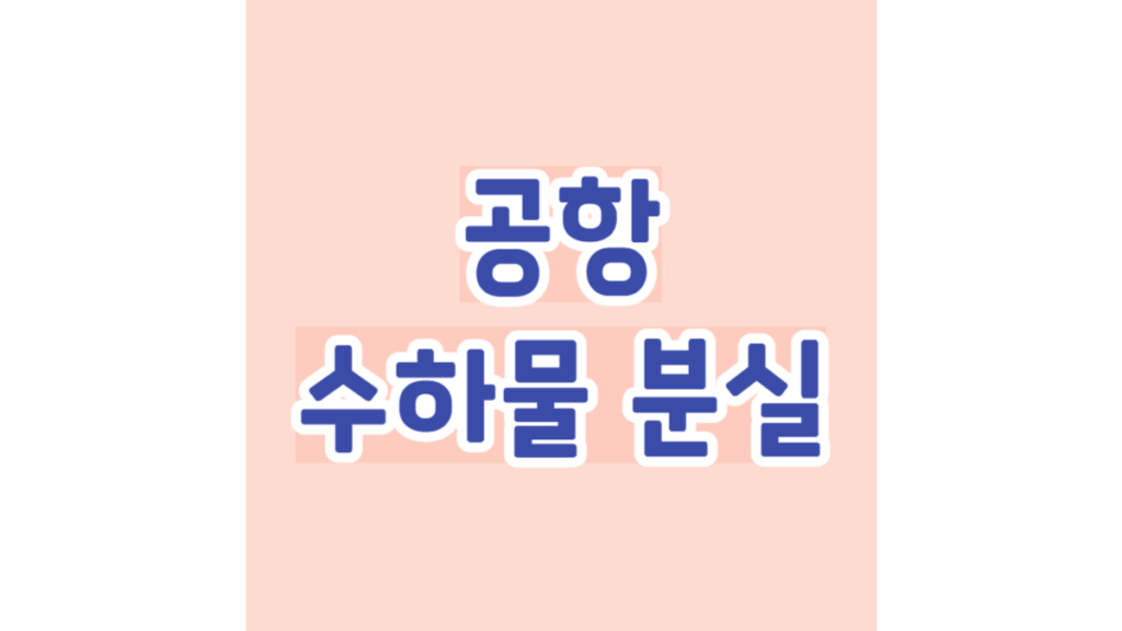 공항 수하물 분실