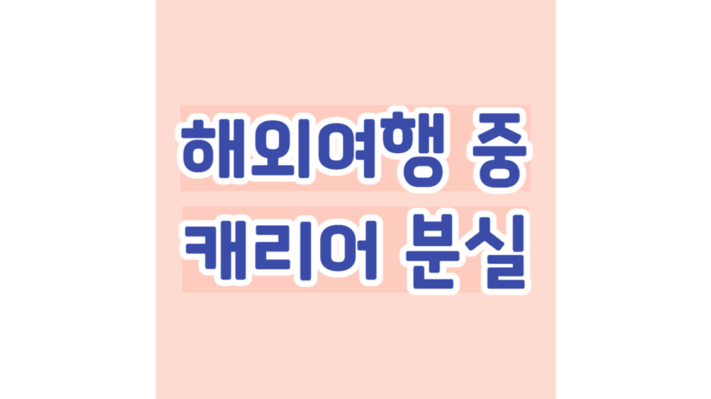 해외여행 중 캐리어 분실