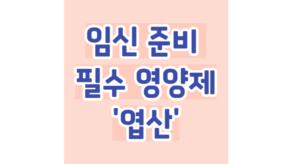 임신 준비 필수 영양제 '엽산'