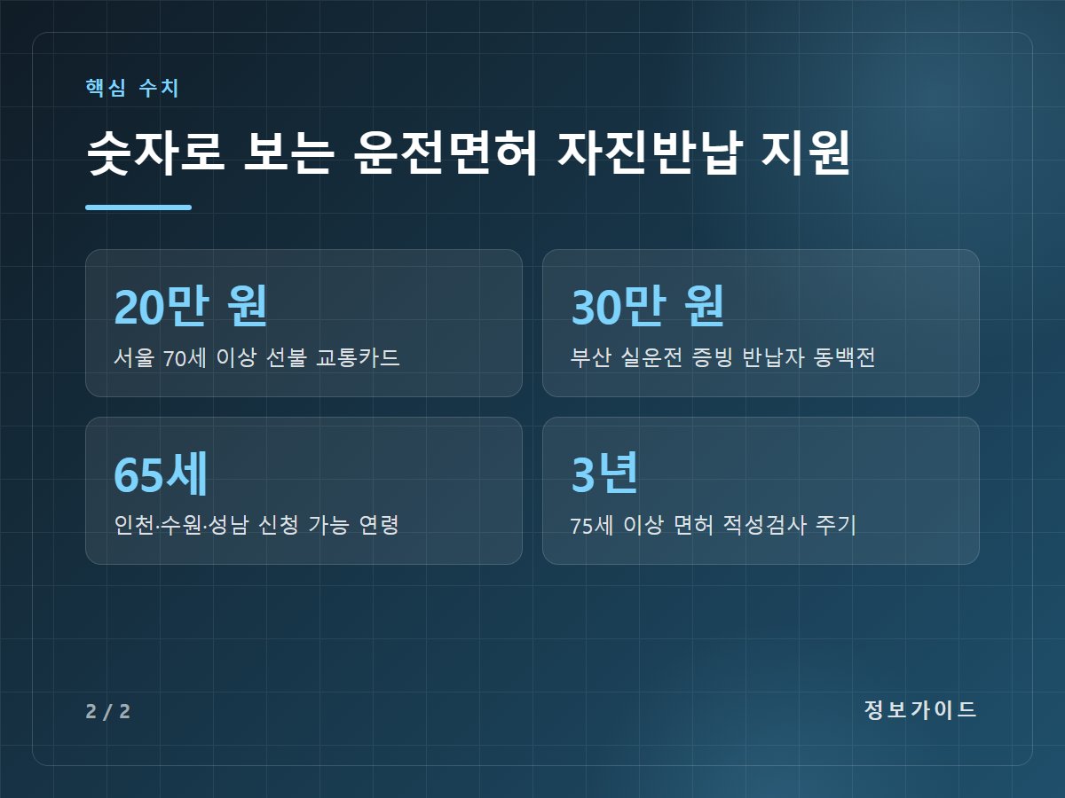 숫자로 보는 운전면허 자진반납 지원 — 20만 원 서울 70세 이상 선불 교통카드 / 30만 원 부산 실운전 증빙 반납자 동백전 / 65세 인천·수원·성남 신청 가능 연령 / 3년 75세 이상 면허 적성검사 주기